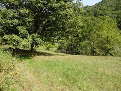 0 Blown Timber Rd, Newton, WV 25266 - photo 5