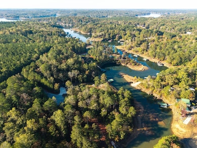 0 Lot 23 Bear Branch Cove, Arley, AL 35541 - photo 4