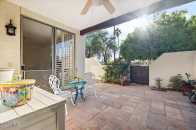 LARGE PATIO