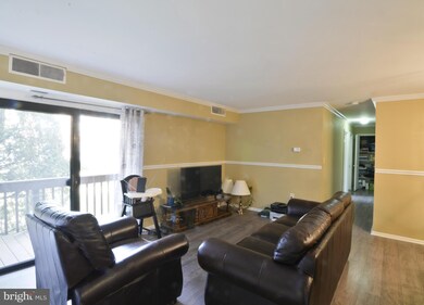 10724 West Dr unit 203, Fairfax, VA 22030 - photo 3