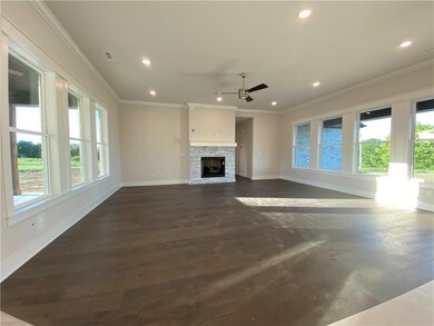 14801 Tikaani Dr, Siloam Springs, AR 72761 - photo 3