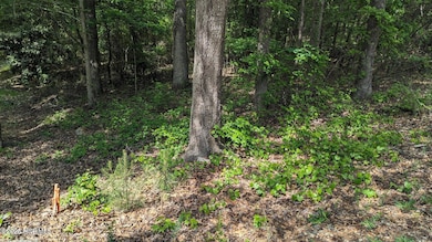 20240628042016062982000000-o