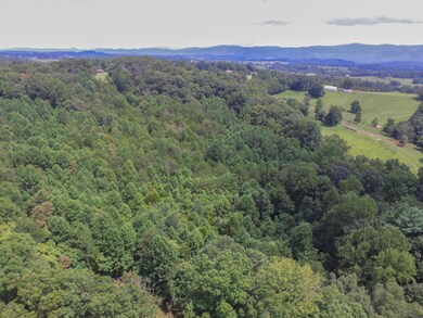 DJI_0058