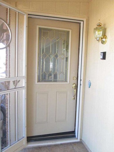 Designer front door