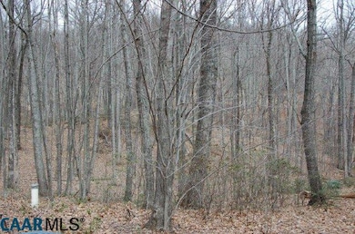 291 Wood House Ln, Nellysford, VA 22958 - photo 3