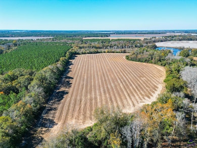 500 Joe Lawrence Rd, Ashburn, GA 31714 - photo 4