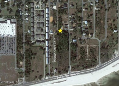 #31 Pelican Cove Lane Location Aerial
