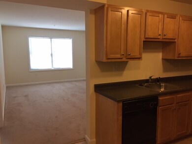 30 Sentinel Ct unit 205, Manchester, NH 03103 - photo 7