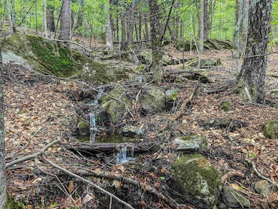 Natural Spring Fed Stream on Property