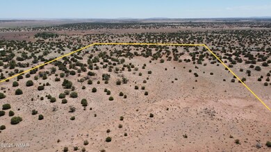 0 Rio Ranch, Concho, AZ 85924 - photo 3