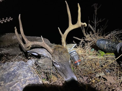 000 Nfw 517, Caddo Gap, AR 71935 - photo 6