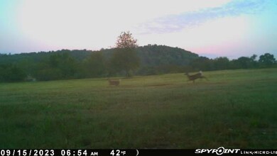 0 Tract 2 Durham McCord, Elkins, AR 72727 - photo 6