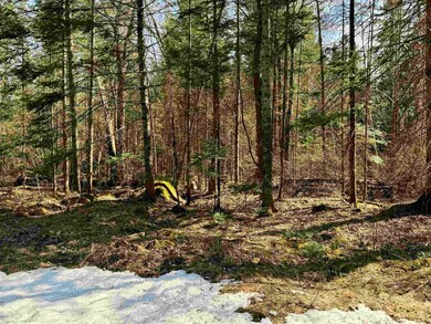 0 Bungy unit 4991867, Columbia, NH 03576 - photo 5