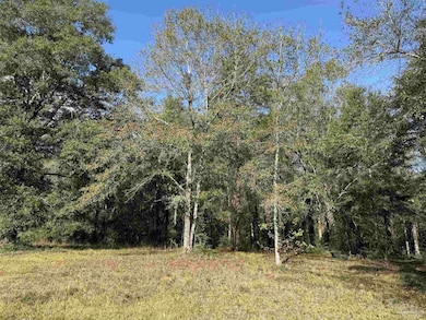 000 Highway 95a N, Cantonment, FL 32533 - photo 3