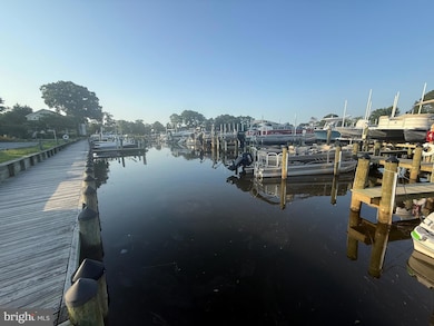 223 Chad Place Manor, Ocean View, DE 19970 - photo 4