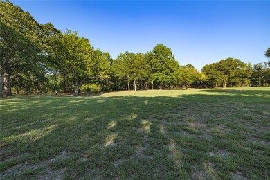 181 Shady Grove Ln, Weatherford, TX 76088 - photo 5