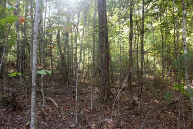 20171006235024728147000000-o