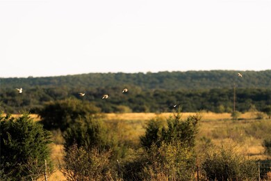 247 E Farm To Market 581, Lometa, TX 76853 - photo 5