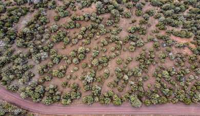 dji_fly_20240309_134948_262_171001748837