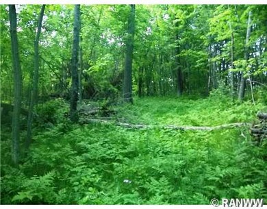 0 Moser Dr unit 872758, Webster, WI 54893 - photo 6