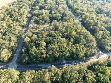 555 and 559 Holly Glen, Callender Lake, TX 75778 - photo 4