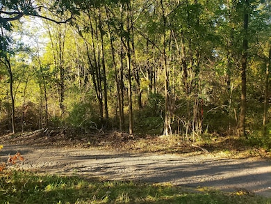 7234 Ash Place, Gary, IN 46403 - photo 2