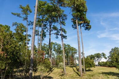 Lot 1 - HV1 - IMG_0751