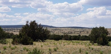 20190618_145353