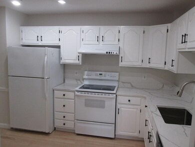 160 Pine St unit 2, Auburndale, MA 02466 - photo 5