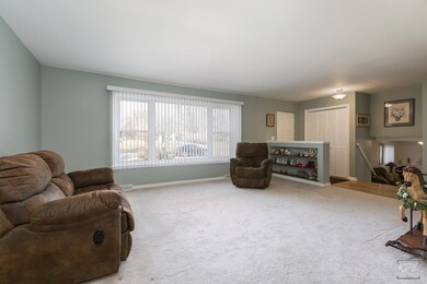 11S707 Schillinger Dr, Naperville, IL 60564 - photo 6