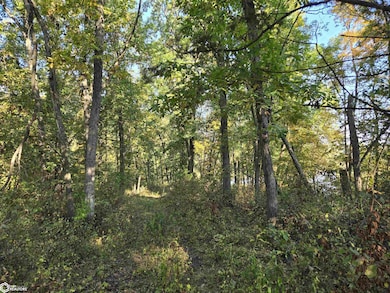 0 150th St unit NOC6334084, Floris, IA 52560 - photo 4