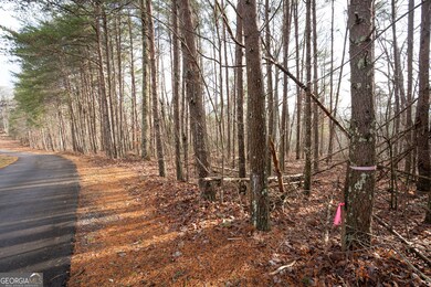 1 Amber Ct, Jasper, GA 30143 - photo 5