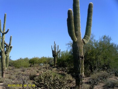 Cave Creek lot 016