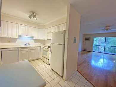 33 Paul St unit 31, Newton Center, MA 02459 - photo 7
