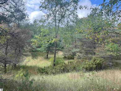 0 Maple City Hwy unit B, Lake Ann, MI 49650 - photo 6