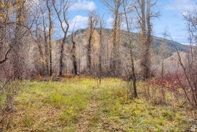 2638 E Weber Canyon Rd, Oakley, UT 84055 - photo 4