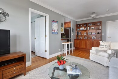 The Charlesview unit 706, Boston, MA 02215 - photo 5