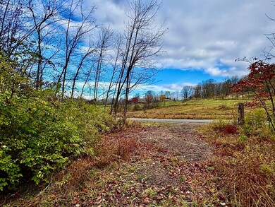 lot 1 Shelburne Falls Rd, Conway, MA 01341 - photo 4