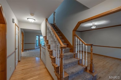 100 Silex Elevator Rd, Silex, MO 63377 - photo 6