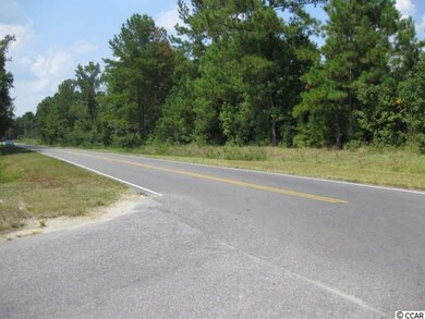 TBD Hemingway Chapel Rd, Conway, SC 29526 - photo 2