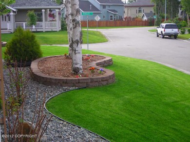 side yard looking West