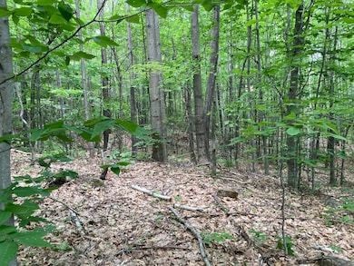 M4 L9-7 Rosenberg Rd, Sumner, ME 04292 - photo 3