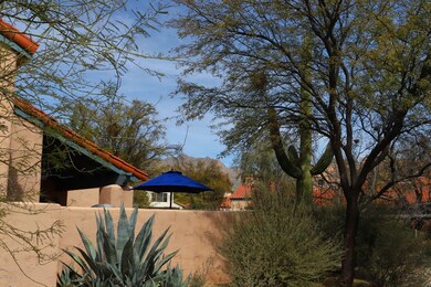 Side yard