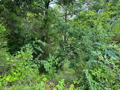 0 Highway 21 unit 20220652, Talladega, AL 35160 - photo 7