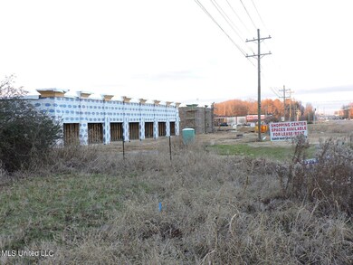 4875 Highway 305, Olive Branch, MS 38654 - photo 7