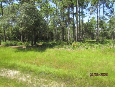 315 Gramercy Plantation Rd, Eastpoint, FL 32328 - photo 7