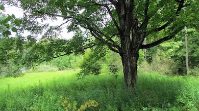 676 Keyserkill Rd, Middleburgh, NY 12122 - photo 2