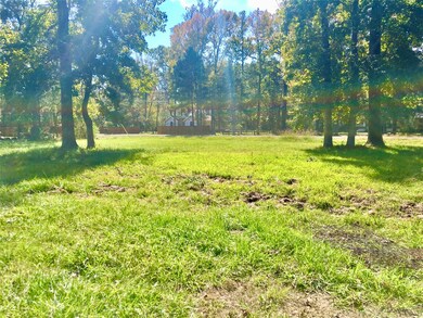 853 County Road 412, Dayton, TX 77535 - photo 3