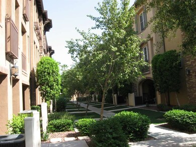 Tree-lined walkway, from front porch