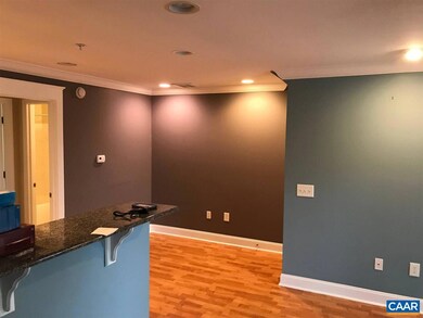 1625 Elmwood Ct unit 203, Charlottesville, VA 22903 - photo 6